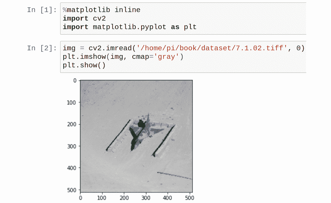 Figure 12.18 – Showing images in the Jupyter notebook 