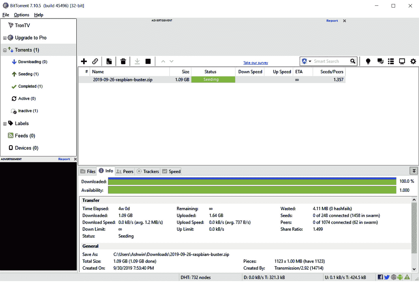 Figure 23: BitTorrent application window 