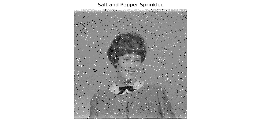 Figure 7.1 – Salt and pepper noise 