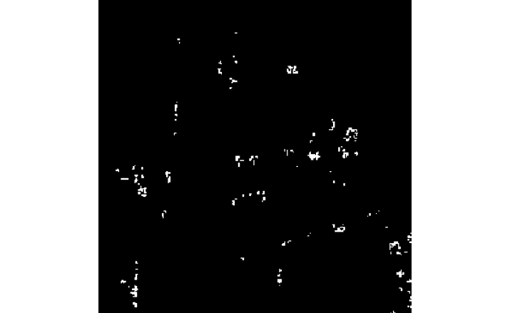 Figure 8.7 – The detected corners 